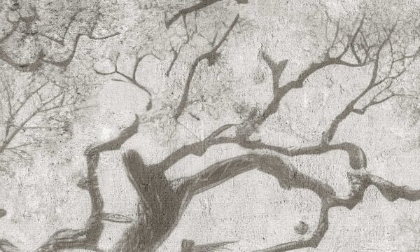 Tapeta winylowa PK Creative Wall Deep Wood - obrazek 3
