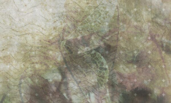 Tapeta winylowa na flizelinie SMOOTH AUTUMN - multicolor : parchment + green - obrazek 3